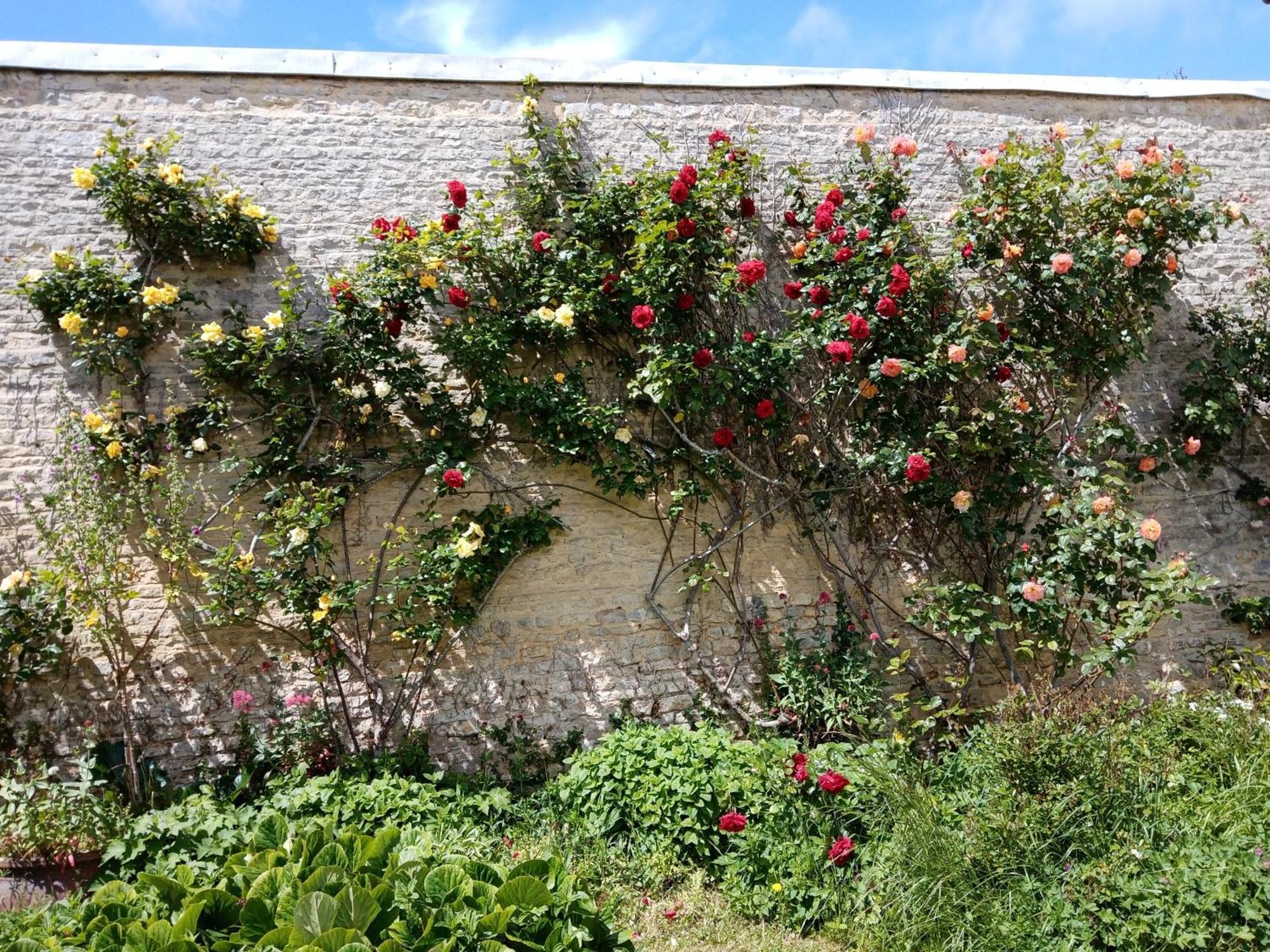 Rose Garden Bayeux Bed & Breakfast Exterior photo