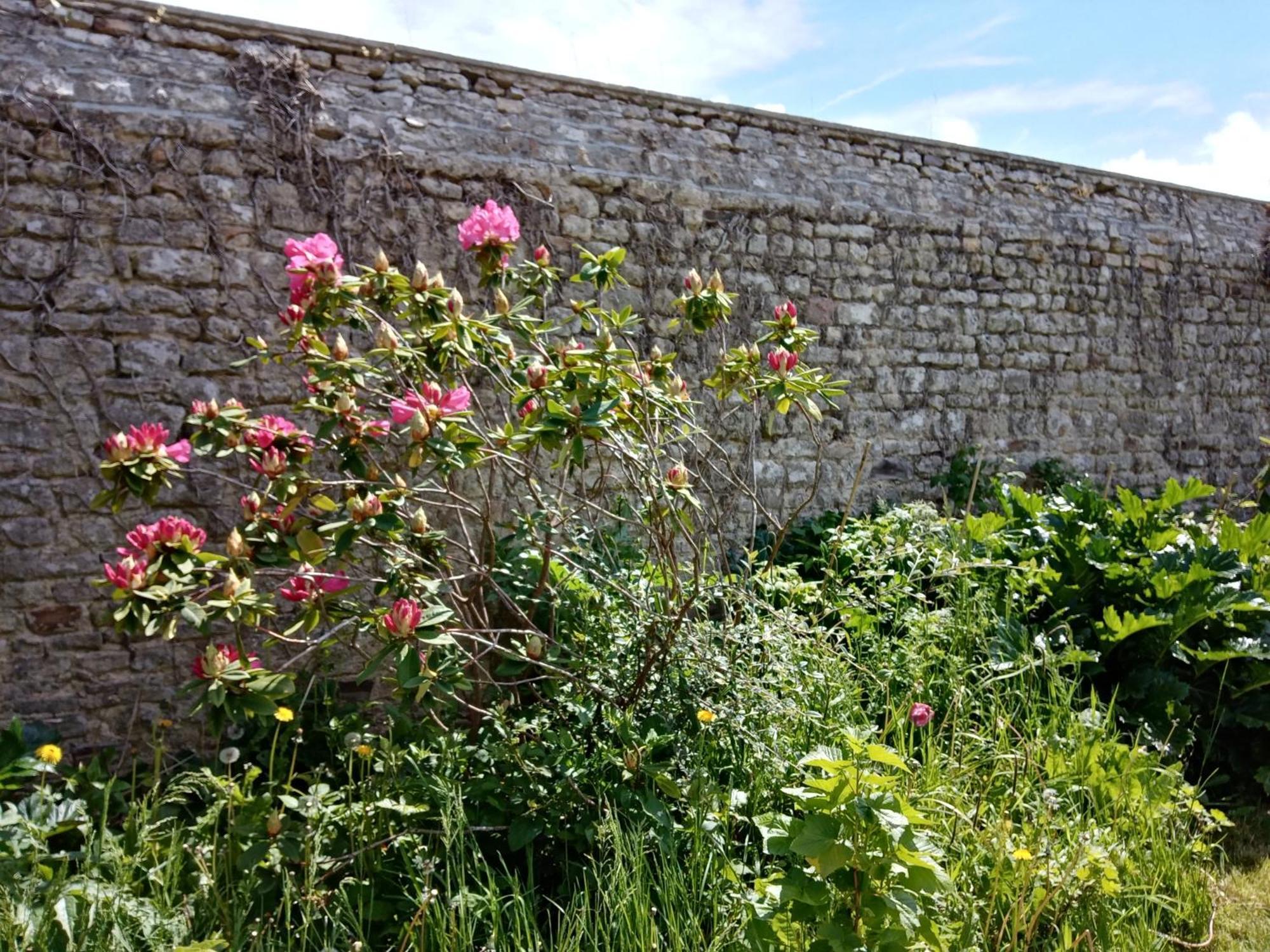 Rose Garden Bayeux Bed & Breakfast Exterior photo